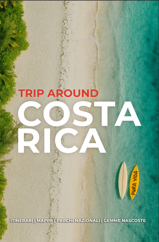 Copertina del libro