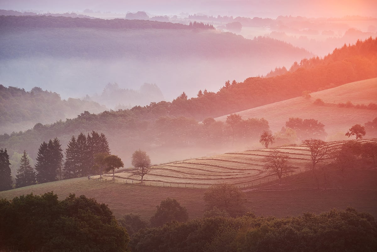 The Wonderful Nature of Luxembourg
