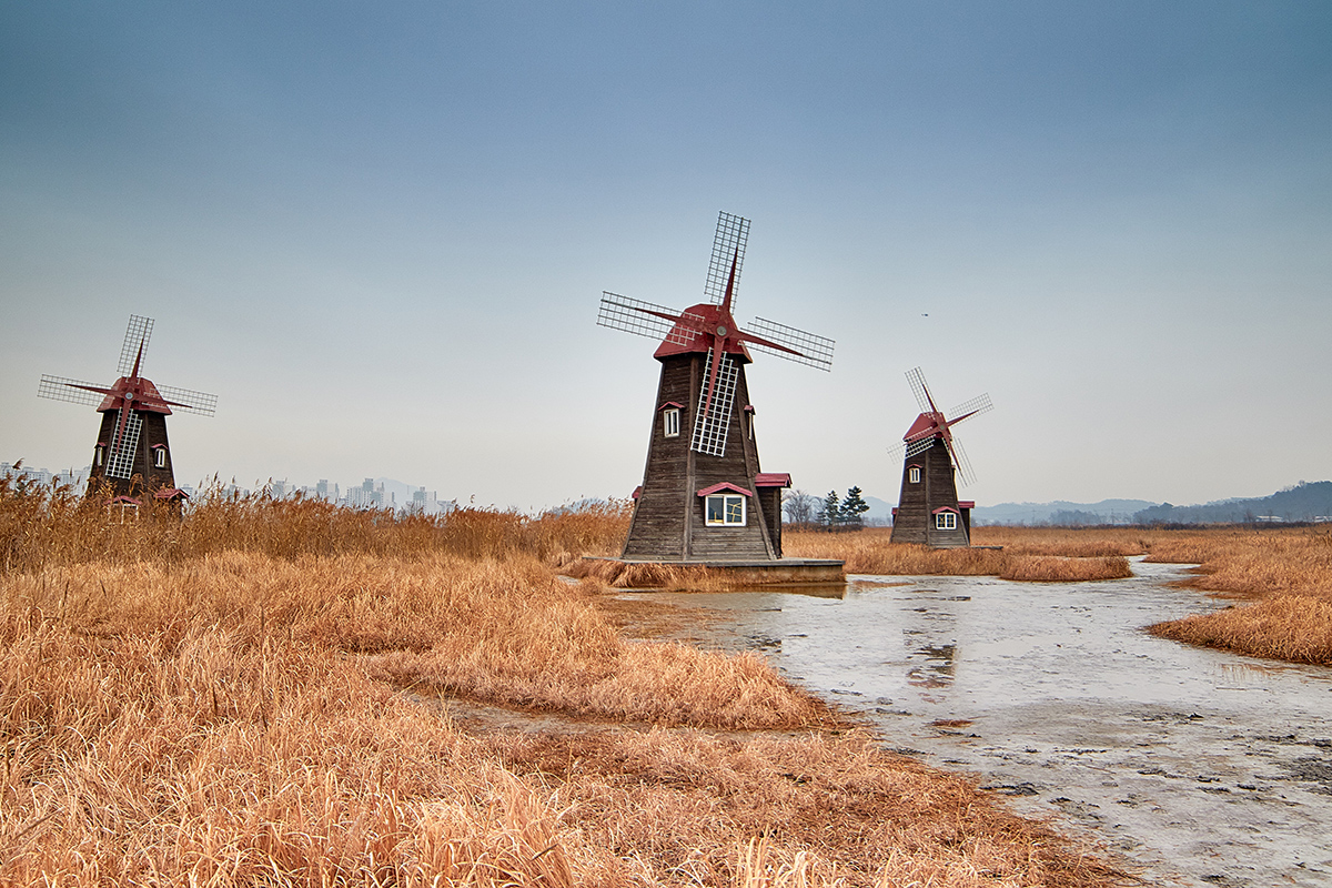 Visit Sorae Ecology Park